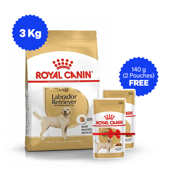 Royal Canin Labrador Retriever Adult Dry Dog Food (3 Kg + Free Wet Food)
