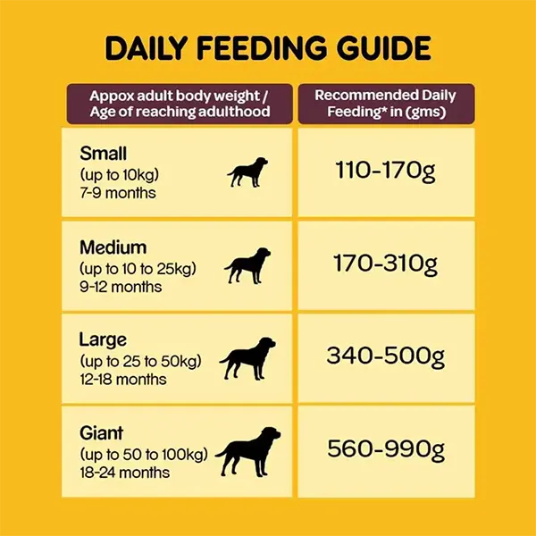 Pedigree Meat & Rice Adult Dry Dog Food - JUSTDOGS