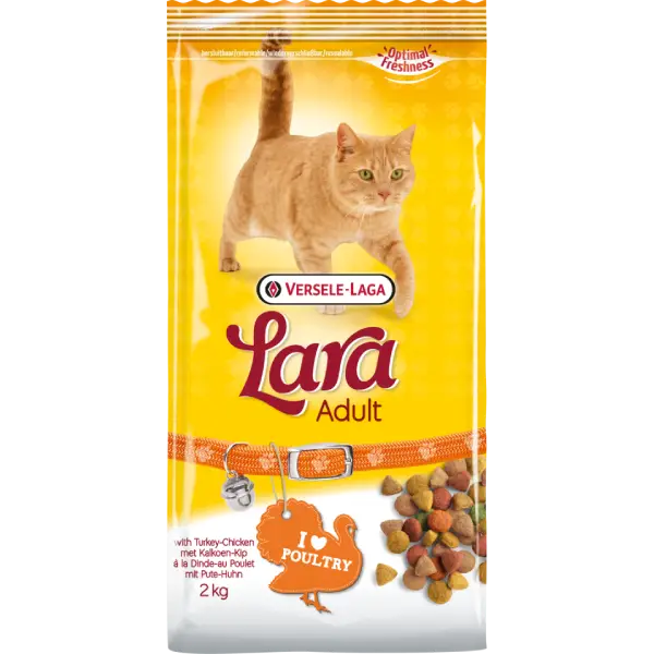 Concept for Life Persian Adult pour chat [3 x 3 kg] - Cdiscount