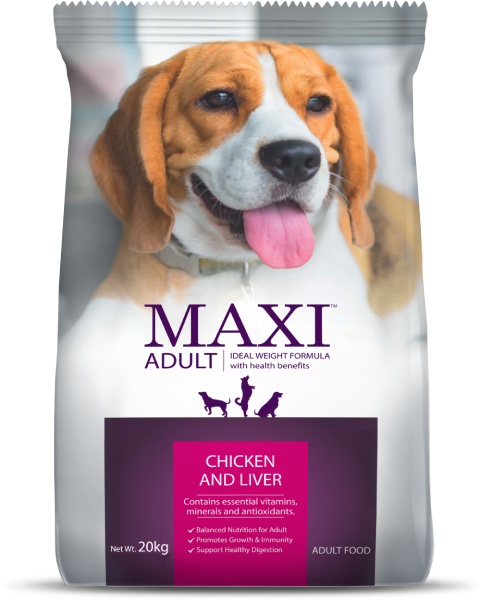 Drools Maxi Adult Dog Dry Food