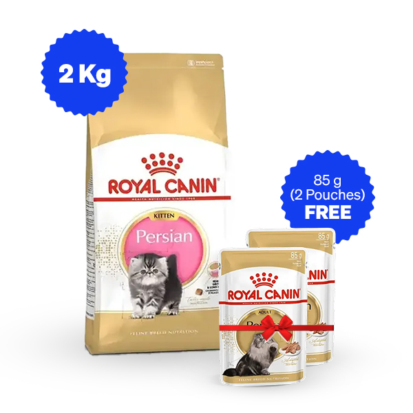 Royal Canin Persian Kitten Dry Food (2 Kg + Free Wet Food)