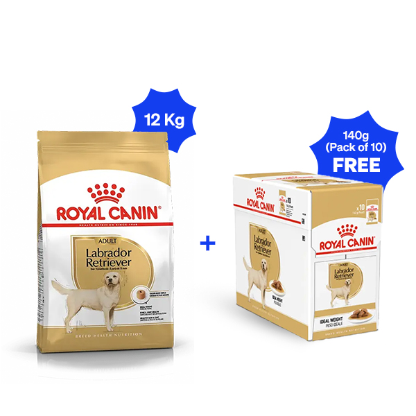 Royal Canin Labrador Retriever Adult Dry Dog Food (12 Kg + Pack of 10 Free)