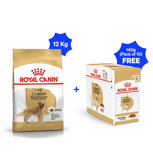 Royal Canin Golden Retriever Adult Dry Dog Food (12 Kg + Pack of 10)