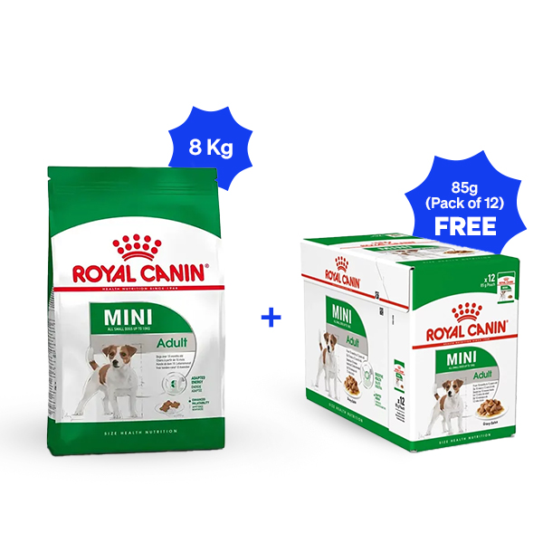Royal Canin Mini Adult Dry Dog Food (8 Kg + Pack of 12)