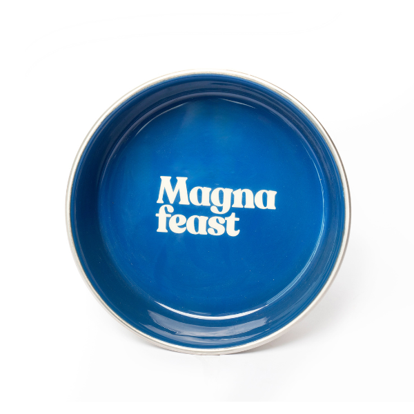 Magna Feast Pet Feeding Bowl