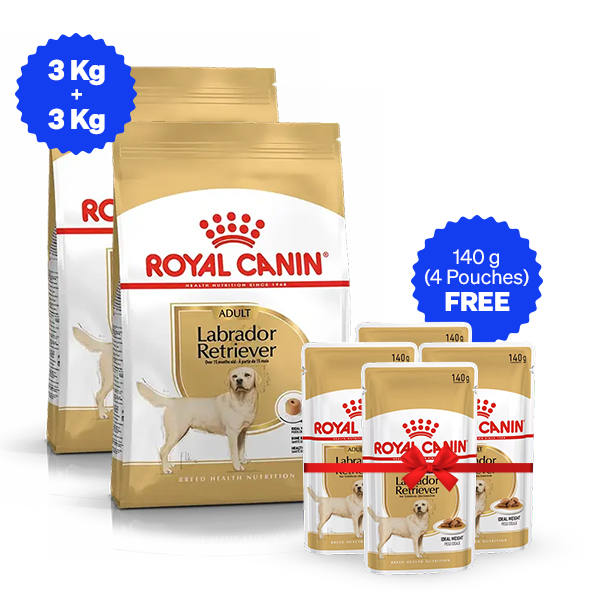 Royal Canin Labrador Retriever Adult Dry Dog Food - 3 Kg + 3 Kg + Free Wet Food