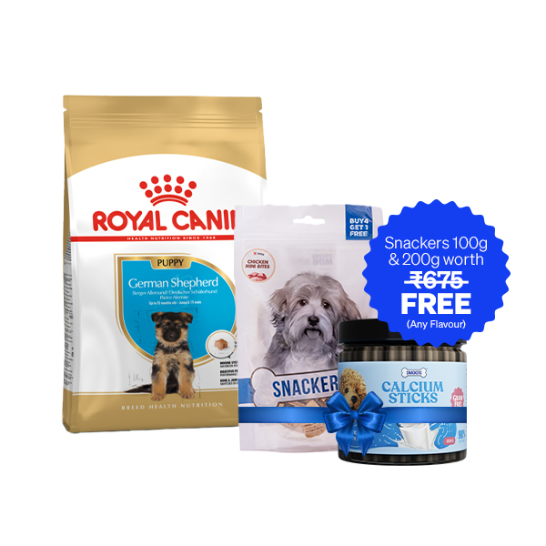 Royal Canin German Shepherd Puppy Dry Dog Food (12 Kg + Free Sanackers 200 g + 100 g)