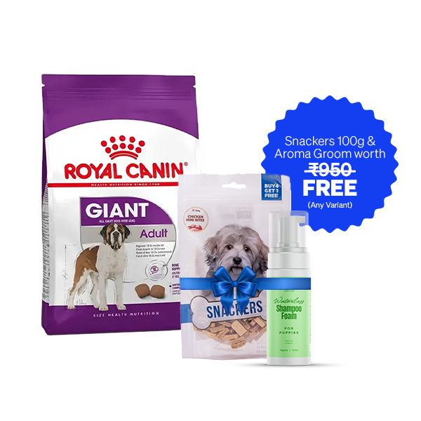 Royal Canin Giant Adult Dry Dog Food (15 Kg + Free Aroma Groom Shampoo + Free Snackers 100 g)