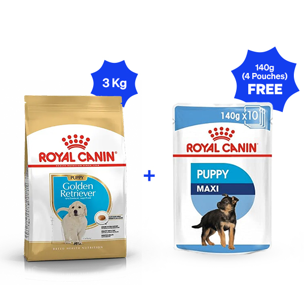 Royal Canin Golden Retriever Puppy Dry Dog Food (3 Kg + 4 Pouches Free)