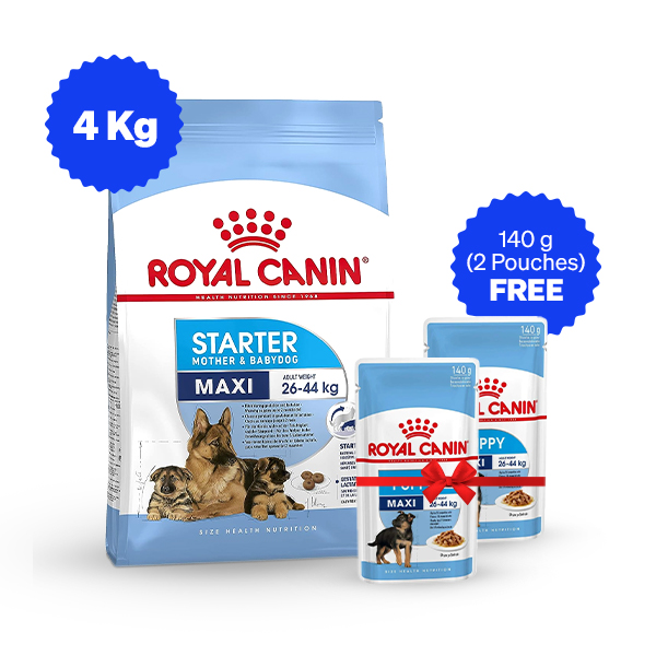Royal Canin Maxi Starter Dry Dog Food (4 Kg + Free Wet Food)