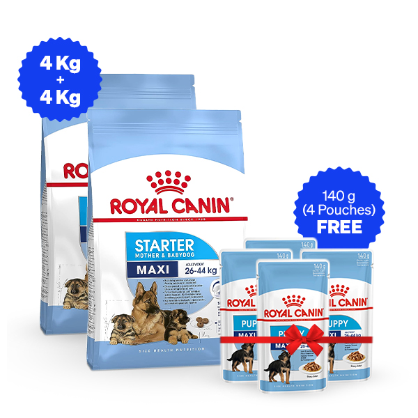 Royal Canin Maxi Starter Dry Dog Food - 4 Kg + 4 Kg + Free Wet Food