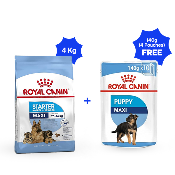 Royal Canin Maxi Starter Dry Dog Food (4 Kg + 4 Pouches Free)