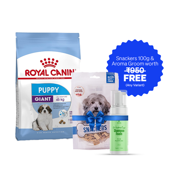Royal Canin Giant Puppy Dry Dog Food (15 Kg + Free Aroma Groom Shampoo + Free Snackers 100 g)