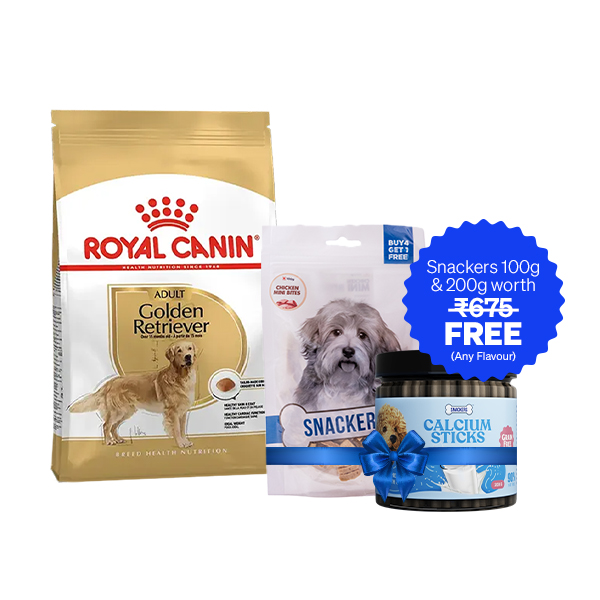 Royal Canin Golden Retriever Adult Dry Dog Food (12 Kg + Free Snackers 200 g + 100 g)