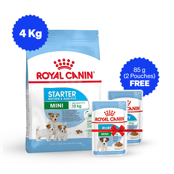 Royal Canin Mini Starter Dry Dog Food (4 Kg +Free Wet Food)