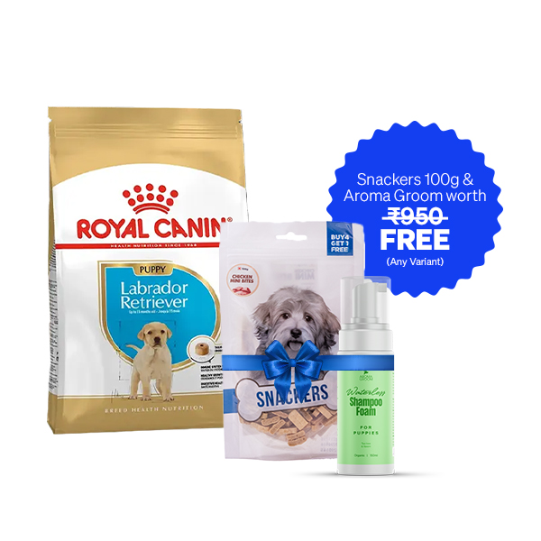 Royal Canin Labrador Retriever Puppy Dry Dog Food (12 Kg + Free Aroma Groom Shampoo + Free Snackers 100 g)
