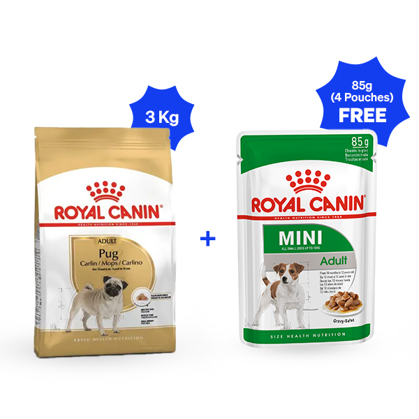 Royal Canin Pug Adult Dry Dog Food ( 3 Kg + 4 Free pouches)