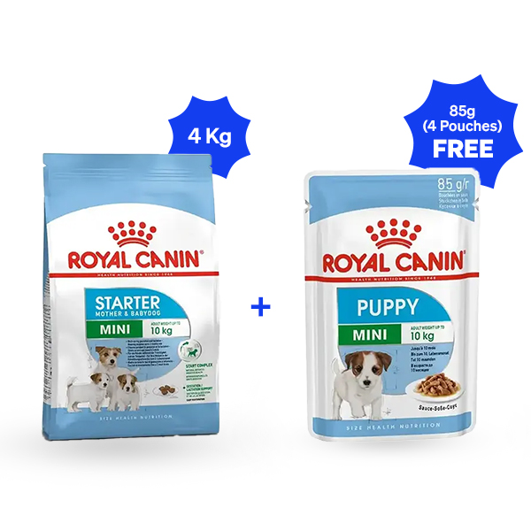 Royal Canin Mini Starter Dry Dog Food (4 Kg + 4 pouches free)