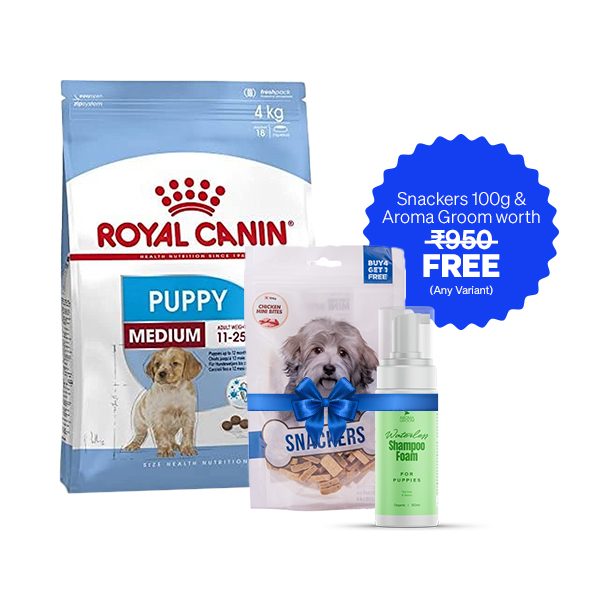 Royal Canin Medium Puppy Dry Dog Food (10 Kg + Free Aroma Groom Shampoo + Free Snackers 100 g)