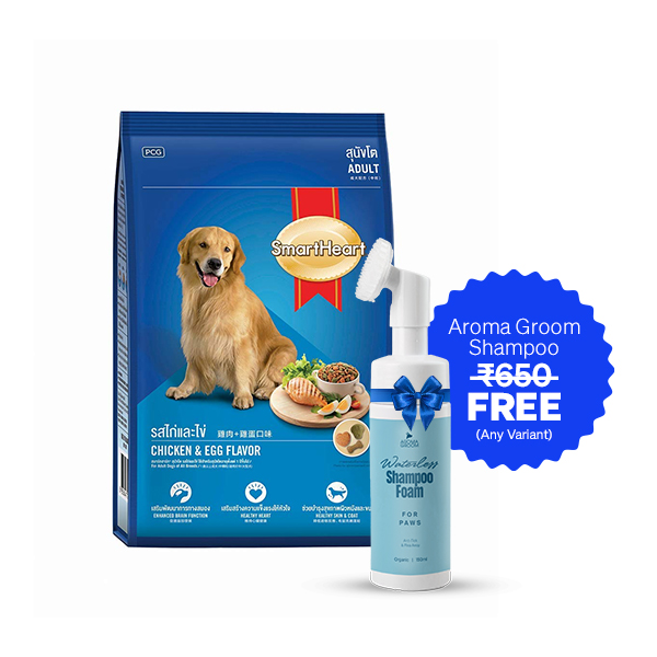 SmartHeart Chicken and Egg Adult Dry Dog Food (20 Kg + Free Aroma Groom Shampoo)