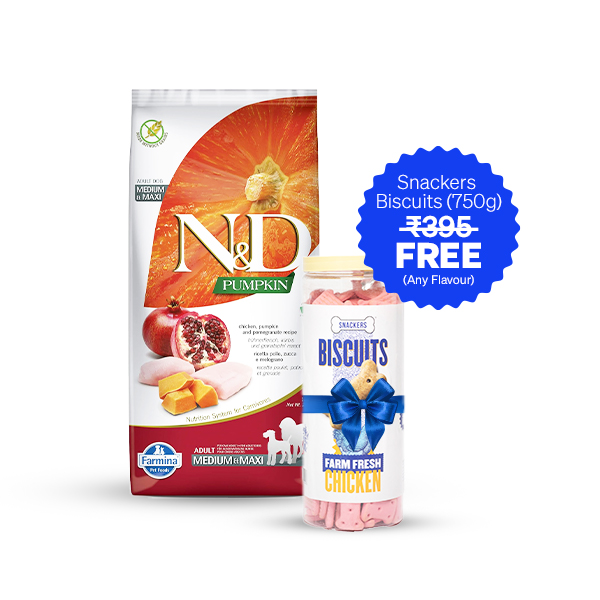 Farmina N&D Pumpkin Chicken & Pomegranate Grain Free Adult Dry Dog Food (12 Kg + Free Snackers Biscuit 750 g)
