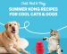 Blog-Chill Out & Play: Summer KONG Recipes for Cool Cats & Dogs